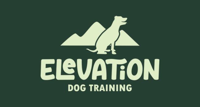 Chamber-Member-Elevation Dog Training